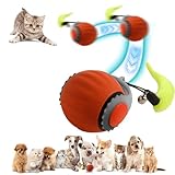 HANIPUPPY Interactive Cat Ball Speedy Tail 3.0 Pet Toy Rolling Ball, Interactive Toys for Indoor Cats, 360° Smart Automatic Dog Kitten Toy Turbo Tail Electronic Bouncing Balls
