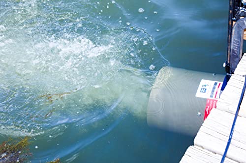 Weeds Away | 1Hp, 115V | Dock Mount Included | Protects Ponds & Lakes From Weeds | Bearon Aquatics | W1000.100 (100 Feet Cord) #TOP5