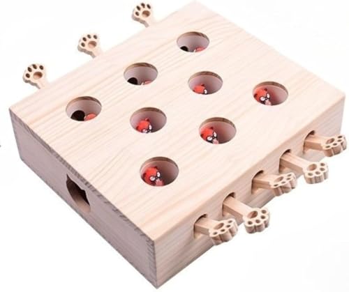 DancJulieL̂AOAL炵AOAL@ALƗVԁAOAؔ𕏂łAL̒mߋAybgpi (l`,͂)