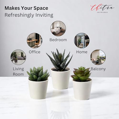 Image of Artificial Plants Fern with Pot for Home, Office, Living Room & Counter Decoration | Realistic Faux Greenery for Indoor Use | Durable Plastic Pot (5)