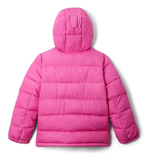 Image of Columbia Kids Pike Lakea ¢ II Hooded Jacket (Little Kids /Big Kids)