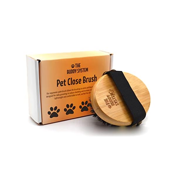 The Buddy System Pet Close Brush, Soft Touch Oval Palm Brush - Bamboo Massage Handheld with Soft Boar Bristles and…