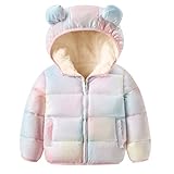 ANHDM Toddler Boys Girls Thicken Winter Coat Baby Fleece Warm Cute Bear Ear Hooded Jacket Clothes 2024, Rainbow, 4-5T/ Tag 120