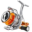 Spinrollen