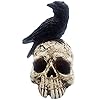 Raven On Skull Halloween Home Decor Gothic Crow On Skull Statue Bird Perching On Skeleton Figurine Macabre Ossuary Sculpture
