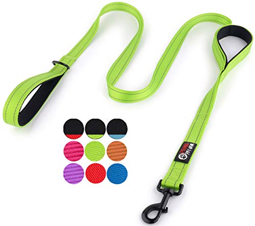 Primal Pet Gear Dog Leash 6ft Long - Traffic Padded Two Handle