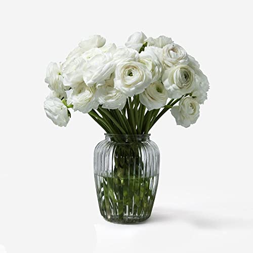 Image of Incrizma Vintage Style Ribbed Glass Bubble Flower Round Jar Vase ~ Perfect for Wedding & Home (20 cm)( Clear)