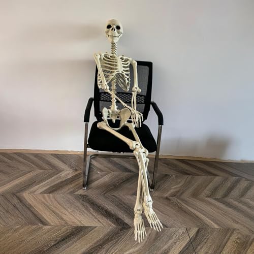 Pavsicgn Deko Skelett Lebensgroß Halloween Outdoor, Riesen Skelett Figuren, 91 cm Großes Menschliches Skeletts Mit Beweglichen Gelenken. Kunststoff-Skeletts Für Halloween-Dekoration