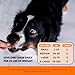 Hip & Joint Turmeric Health - Joint Supplement for Dogs, Omega-3 Fish Oil, Turmeric to Support Overall Health & Ease Stiffness - Advanced Pet Mobility Support - 90 Ct (Pumpkin)
