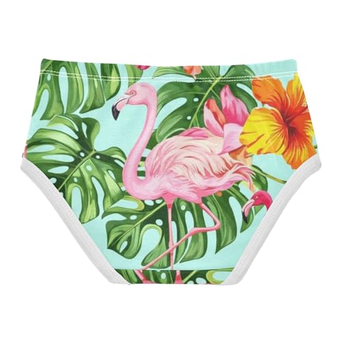 Colorful Toddlers Underwear Floral 2t Cotton Panties for Girl Tropical Pink Flamingos Briefs Undies Kids2