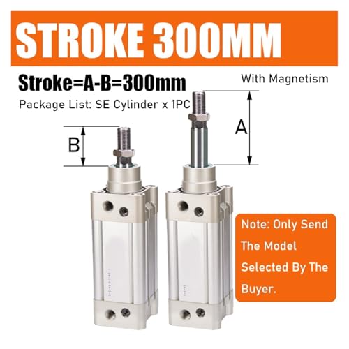Vérin pneumatique SE50 course 300mm amortissement pneumatique réglable - 3