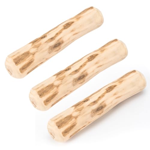 HYZSHL 3 Stück Kaffeeholz für Hunde, Natürliches Kauholz für Kleine und Mittlere Hunde, Ideal für Zahnreinigung und Stressabbau, 14 cm Lange ﻿