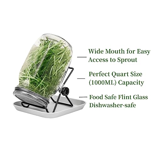 Lulonpon 4 Sprouting Jar Kit, Wide Mouth Quart Mason Jars With Stainless Steel Screen Sprout Lids, 86Mm,1000Ml,Stand,Tray And Canning Brush,Seed Sprouter Set For Growing Broccoli, Alfalfa, Mung Bean #TOP1