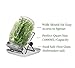Lulonpon One Sprouting Jar Kit, Wide Mouth Quart Mason Jars with Stainless Steel Screen Sprout Lids, 86mm,1000ml,Stand,Tray and Canning Brush,Seed Sprouter Set for Growing Broccoli, Alfalfa, Mung Bean