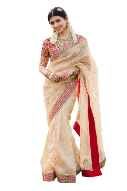 infabzon Saree for Womens Bollywood Zimmy Choo fabric With Embrodery Coding Sequins & Border Lace Work - Review, Price and Buying Guide