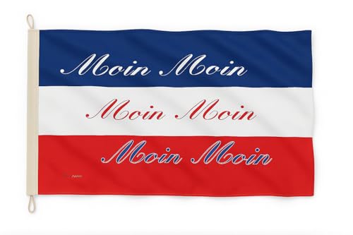 Drapeau Schleswig-Holstein résistant 90x60 pour mât et bateau - 2