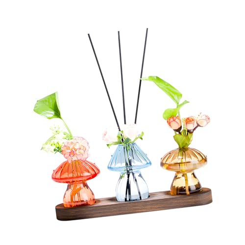 Terrarios de cristal para decoración de oficina en casa y salón 4