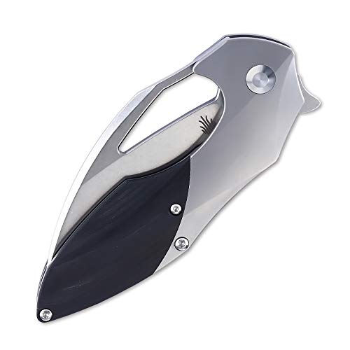 Kizer Cutlery Megatherium Elijah Isham Cpm-S35Vn 6Al4V Titanium Knife (Ki4502A1) #TOP4