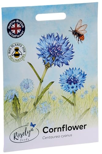 Roselyn Seeds Wild Cornflower Seeds - Bee Friendly Hardy Annual Wildflower for Planting in Spring or Autumn | 5 Grams - 1000 Seeds