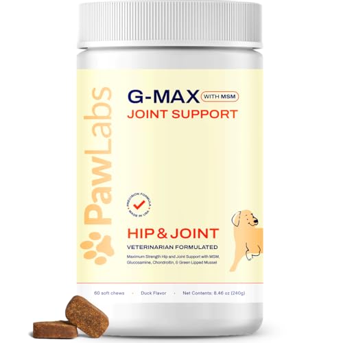 PAWLABS G-Max Joint Support for Dogs - Maximum Strength Hip & Joint Supplement with Glucosamine Chondroitin MSM Green-Lipped Mussel - Relieves Arthritis Pain & Hip Dysplasia - Duck Flavor 60 Chews