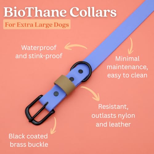 Collier pour chien flexible étanche bleu pervenche taille XL