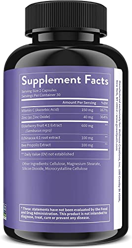 Wellpath Shield Elderberry Capsules - 5-In-1 Immune Support Booster With Zinc, Vitamin C, Echinacea, Bee Propolis - Premium Zinc Supplement - 600 Mg Sambucus Black Elderberry Pills For Adults - 60 Ct #TOP2