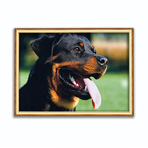 Cross Stitch Kits Beginner Adult Kids Stamped Cross Stitch Kits with Pattern Funny Rottweiler DIY 11 ct Pre-Printed Fabric Embroidery Crafts Needlework Kits Arts Decor Gift -16×20inch