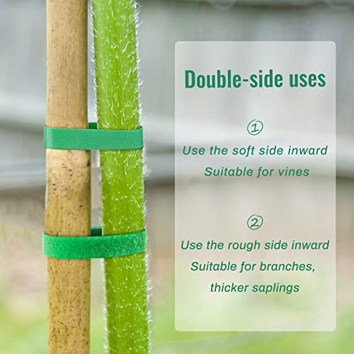 Hahood Plant Ties Reusable Garden Tape Adjustable Plant Support For Effective Growing Nylon Plant Tie Strap For Flowers, Tomato, Vines, Tree (50 Feet X 0.47 Inches, Green) #TOP3