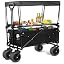 Wagon With Table and Canopy