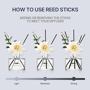 396 st. Dahlia Flower Reed Diffuser, Vanilla Lavender(Also Known as Garden Lavender), 200ml(6.7oz) / Reed Diffuser Sets, Scentsy Home Fragrance, Scented Oils, Home & Bathroom Décor 396 st Dahlia Flower Reed Diffuser Vanilla LavenderAlso Known as Garden Lavender 200ml67oz Reed Diffuser Sets Scentsy Home Fragrance Scented Oils Home Bathroom Decor