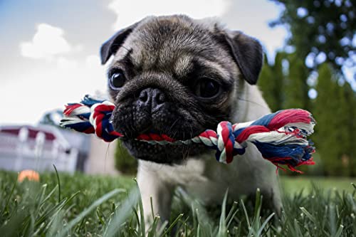 Small Dog and Puppy Knotted Rope Chew Toy – Extra Small Size 6″ Small Dog and Puppy Knotted Rope Chew Toy – Extra Small Size 6″