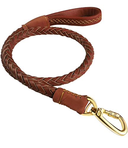 Vivi Bear Correa de Perro, marrón, Durable, Suave, Cuero Real, Trenzado, para Perros Grandes-1,1 m de Largo x 2,5 cm de Ancho