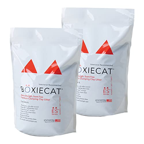 【OFT】 BOXIECAT ボクシーキャット オレンジ 7.2kg 2個セット 猫砂 固まる ベントナイト 臭わない 無香料 無着色 強力消臭 砂埃が立ちにくい 獣医師推薦