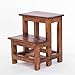 DESIGN DELIGHTS Marchepied - 47 x 37 cm - Bois recyclé - 2 marches - Escabeau domestique