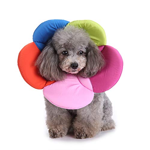 Image of Dog Collar, Pet Cone E-Collar Flower Soft Elizabethan Waterproof Grooming Recovery Protecive Adjustable Collar for Puppy Small Medium Dogs (M Neck:11-13in, Rainbow)