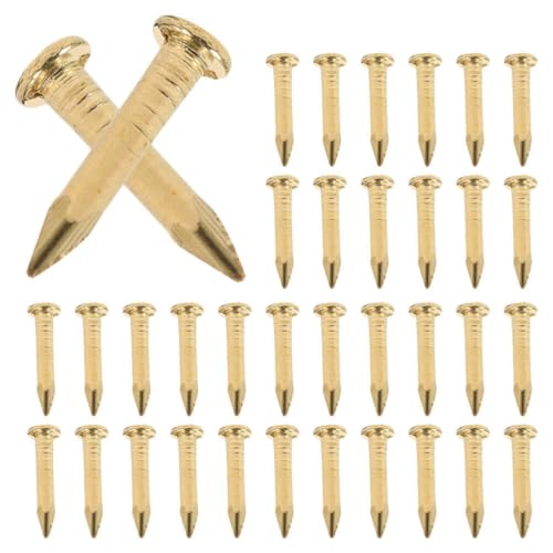 Housoutil 100 Piezas Clavos de Cabeza Redonda de Cobre Clavos Pequeños para Colgar Cuadros para Manualidades de Muebles Interiores