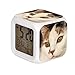 GIAPANO Alarme LED Colock 7 couleurs - Desk Gadget - Thermomètre numérique - Cube de nuit lumineux - Pour la maison - Photographie de chat blanc, noir et marron