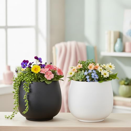 Image of Xtore 2 Pc Graceful Matte Ceramic Planter Pot for Indoor Plants & Bonsai Display | Minimal Rounded Tabletop Planter for Living Room, Desk & Window Styling (White& Black, Planters only)