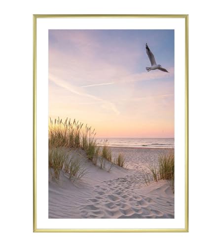 IDEAL TREND Bilderrahmen Fotorahmen aus Kunststoff Bilder Foto Posterrahmen Collage AC-6: Farbe: Gold | Format: 50x70 IDEAL TREND Bilderrahmen Fotorahmen aus Kunststoff Bilder Foto Posterrahmen Collage AC-6: Farbe: Gold | Format: 50x70