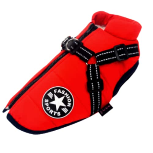 Juvendy  WPbg n[lX ̌^ _EWPbg Wo[ ~p pi ybgpi xXg EFA ybg  h h ^ ^ h (L, bh)