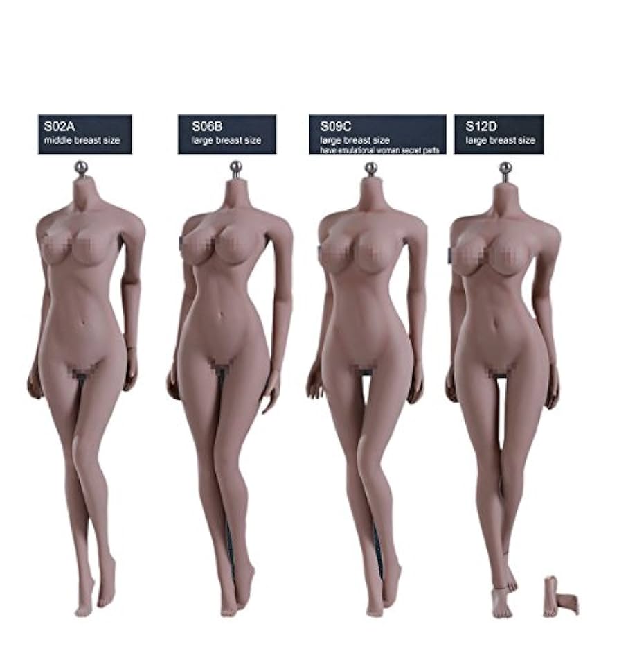 Amazon | Phicen 1 / 6スケール スーパーフレキシブル 女性