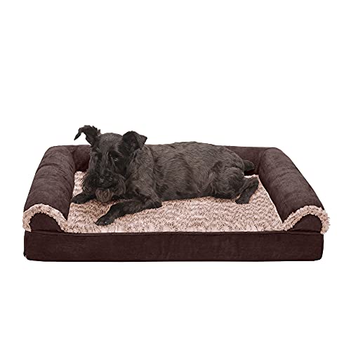 amazon best dog beds