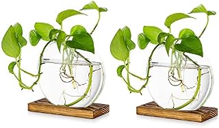Tabletop Hanging Glass Planter Pcs of 2 Propagation Station Modern Flower Bud Vase in Wood Stand Rack Terrarium for Hydroponic Plants Cuttings Office Home Decoration, Gift for Plant Lover