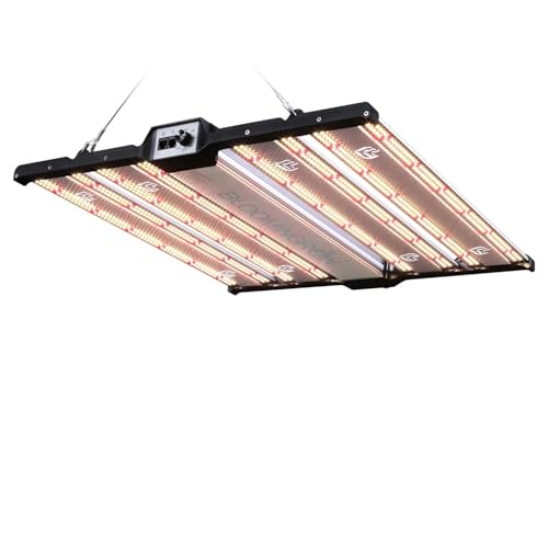 BLOOMINGREEN LED Plant Grow Lights Indoor 300W with Samsung LM301B Diodes LEDs,Commercial Full Spectrum Daisy Chain Dimmable Grow Lamp in Seedlings Vegetables Flowers 3x3/4x4ft Grow Tent Room