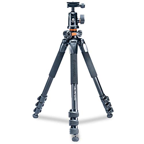 Panasonic Lumix G9 4K Mirrorless Digital Camera Body (Black), 20.3Mp, Bundle With Vanguard Alta Pro 264Ab 100 Aluminum Tripod With Sbh-100 Ball Head, 32Gb Sd Card, Lcd Protector, Cleaning Kit, Cloth #TOP2