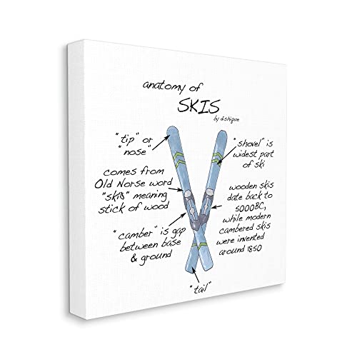 Image of 'Anatomy of Skis Winter Sports Diagram Facts'| Canvas Art | Stupell Industries | 17 x 17 Inches, Easy to Hang and Sturdy, Made in USA, by Dishique