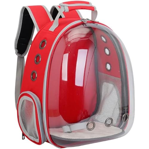 DAboru ybgL[obO LL[ Lp FDJvZ^ bNTbN sybgobO  o UVJbgO΍^ ʋC e ϋv S ܂肽 pbht (bh)