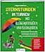 Produktbild Sternstunden im Turnen mit Alltagsmaterialien und Kleingeräten: Fantasievolle Turnstunden kinderleicht umsetzbar in Kiga, Grundschule und Verein