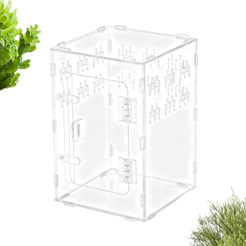 �^�����`�����P�[�W,�����N���C�~���O�]�[�� - �n�G�g���O�� �A�N�Z�T���[ - �w�r ���N�K�� ������ ���h�J�� ঒��� �� �J�� �t�g�A�S�q�Q�g�J�Q �p