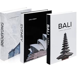 Decorative Books for Home Decor–Decor Books for Coffee Table Designer Books Decor Set of 3 Modern Book Decor Stack–Faux Books for Decoration Designer Books for Decor Faux Books for Bookshelf